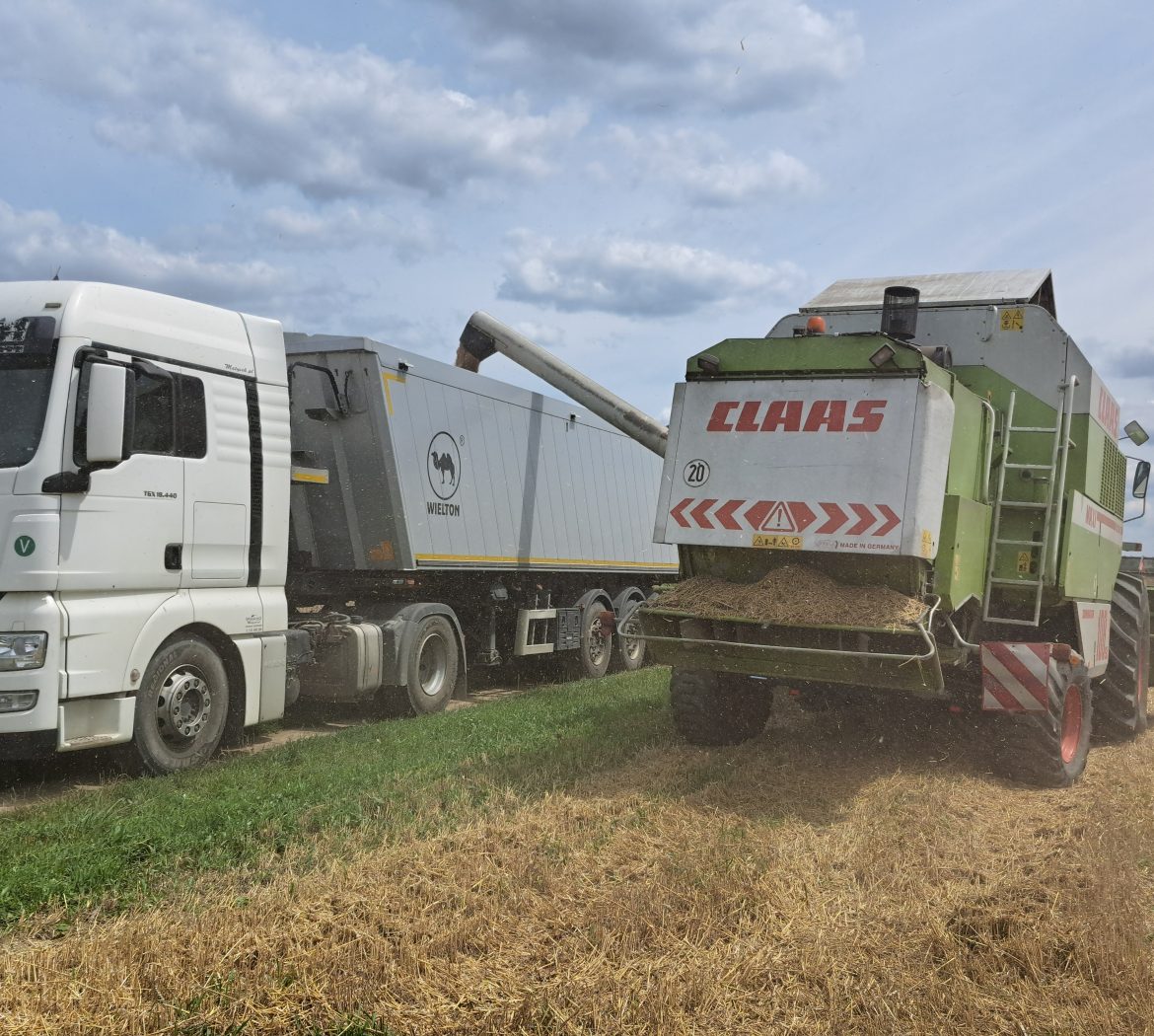 Transport wywrotkami kruszyw, zbóż oraz innych towarów sypkich na terenie całej Polski, realizując również lokalne przewozy na terenie Jarosławia.